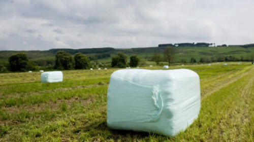 Preserving grass