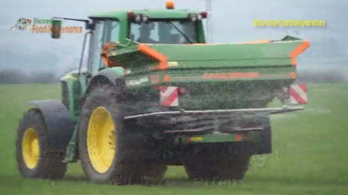 Applying fertiliser to wheat